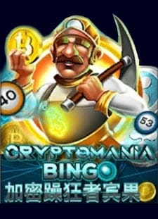บิงโก Cryptomania SlotXO