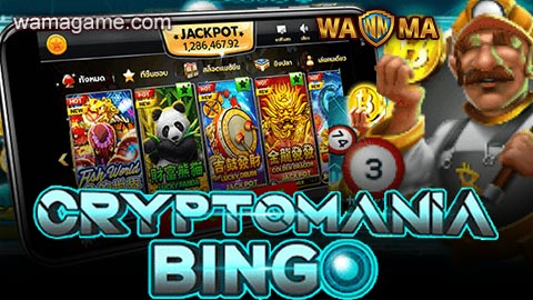 บิงโก Cryptomania SlotXO