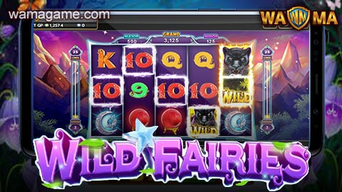 สล็อต Wild Fairies Joker123