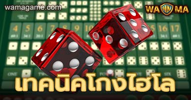 เทคนิคโกงไฮโล