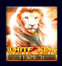 สล็อต White King Pussy888