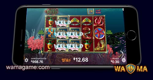 สล็อต Cash Reef Habanero Luxy99