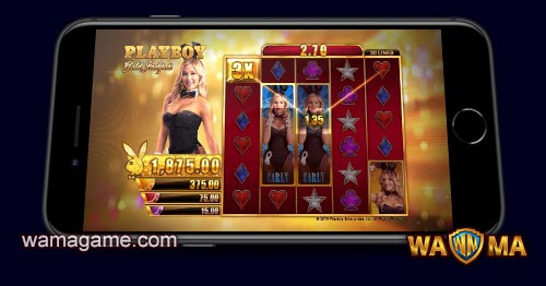 สล็อต Playboy Gold Jackpot microgaming Luxy99