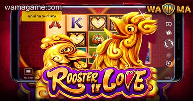 สล็อต rooster in love JDB Luxy99